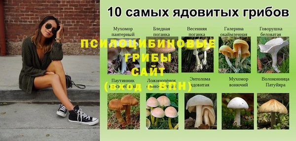 СК Абинск