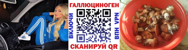 мориарти телеграм  Кудымкар  Псилоцибиновые грибы мицелий 