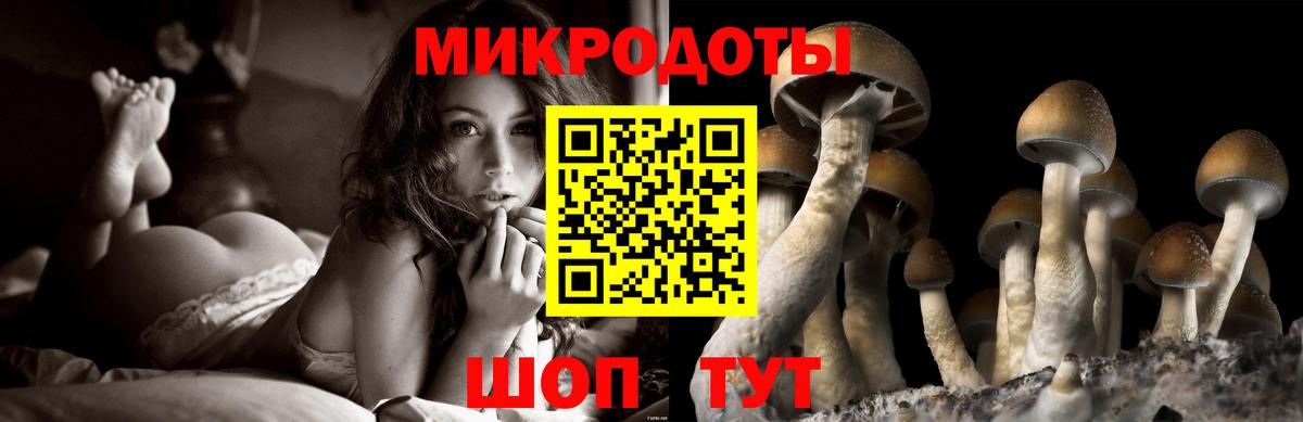Галлюциногенные грибы Magic Shrooms  Вход с VPN  Кудымкар 
